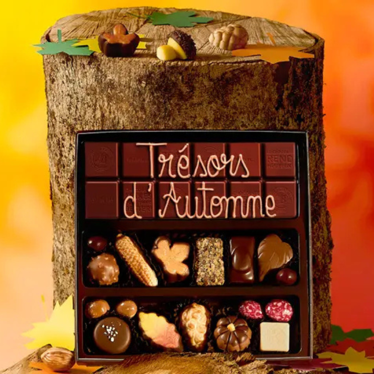 CUEILLETTE D’AUTOMNE